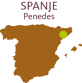 Spanje - Penedes