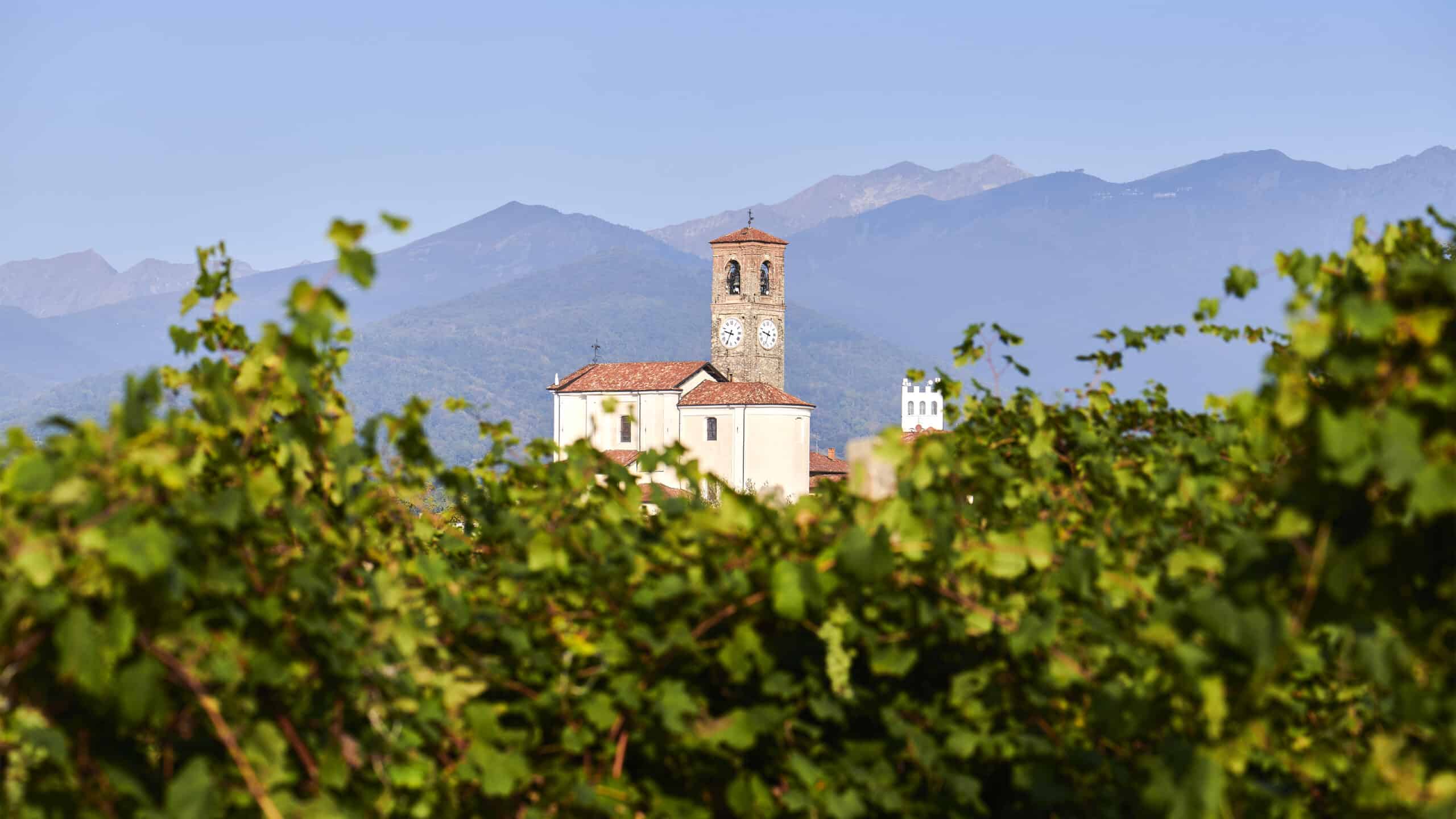 Tenute Sella Alto Piemonte