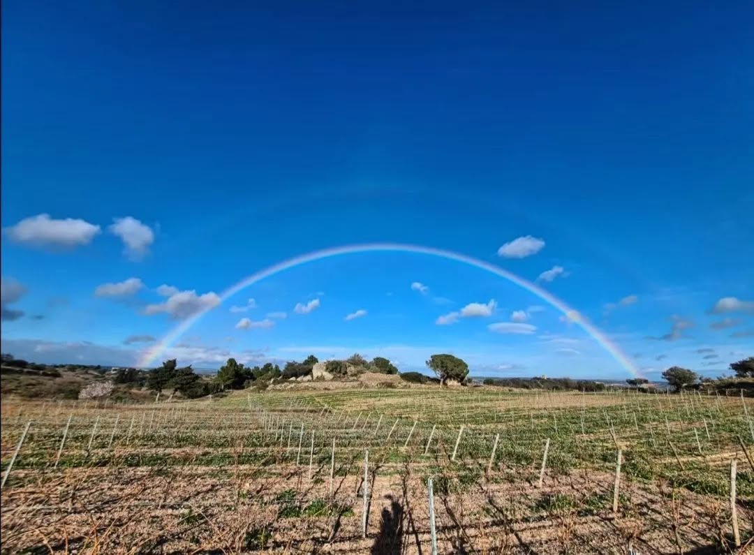 Mas des Caprices Rainbow