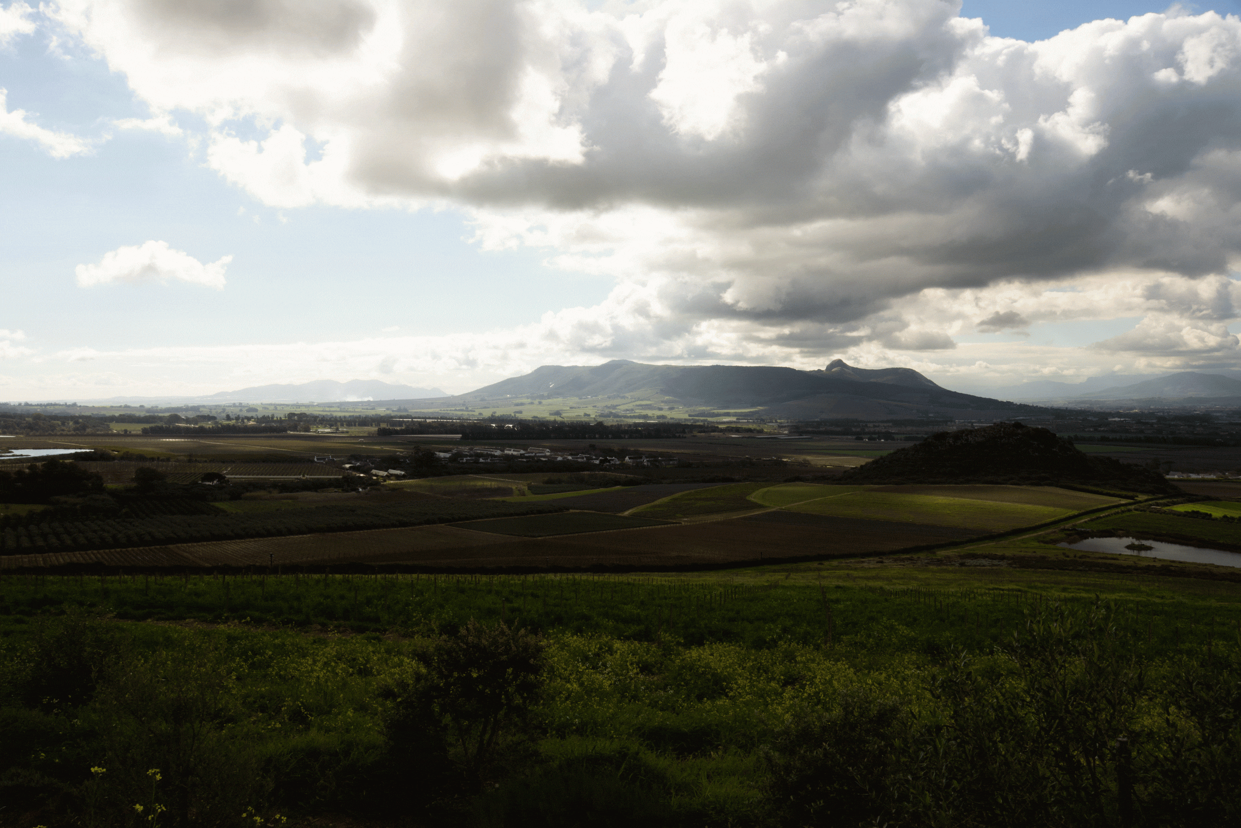 Noble-Hill-Simonsberg
