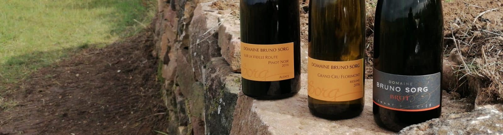 Domaine Bruno Sorg
