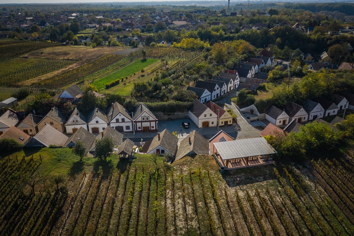 Nyakas Budai Vineyard